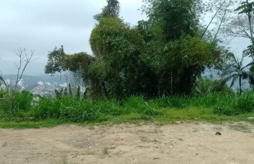 T5314 – Terreno Plano com escriturado