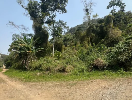 Código: T5473 – MASSARANDUBA – RIBEIRÃO GUSTAVO -Terreno escriturado – Área terreno: 20.000m²
