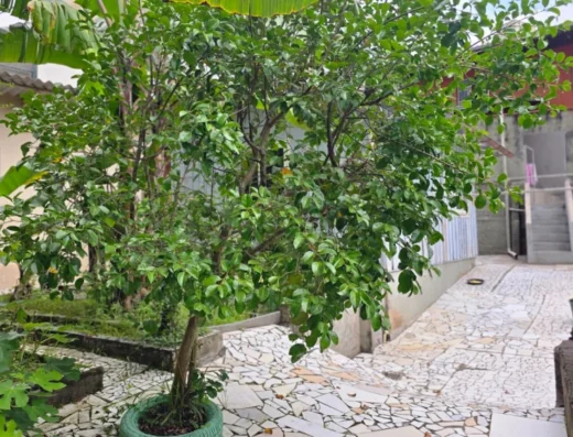 Código: C1411 – ESCOLA AGRICOLA – BLUMENAU – Excelente Oportunidade à venda 3 casas