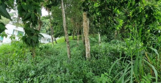 T5415 – Terreno – Centro Blumenau