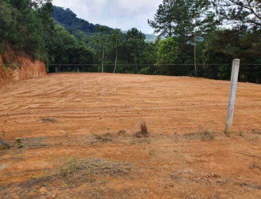 T5423 – Terreno com 1875m²
