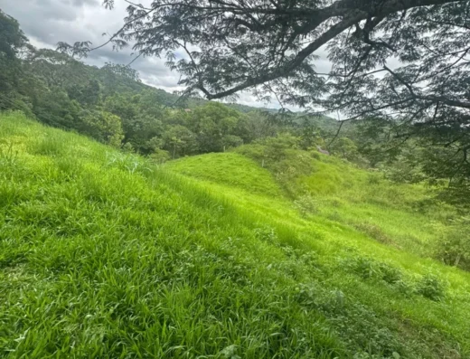 Código: T5480 – BLUMENAU – VILA ITOUPAVA – com área total de 2.000m²