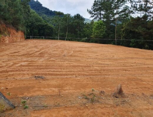 T5423 – Terreno com 1875m²