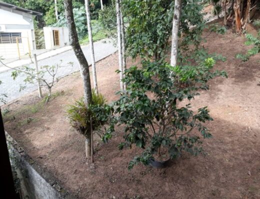 T5428 – Terreno com frente 13,50m x 13,50m fundos