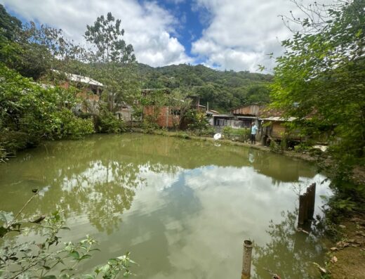 Código: S8068 – Blumenau – Jordão – R$300mil