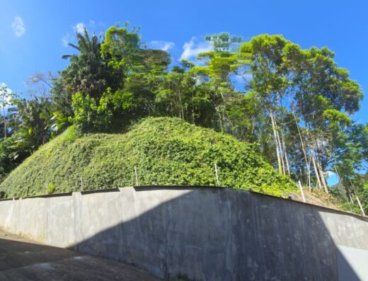 T5511 – Terreno Ponta Aguda lote 02