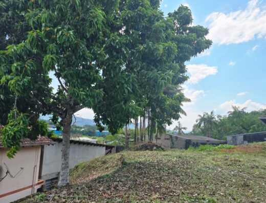 Código: T5513 – BLUMENAU – AGUA VERDE – R$ 650.000,00
