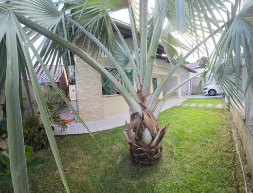 Código: C1485 – BLUMENAU – FORTALEZA – R$ 460.000,00